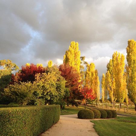 Glen Waverly Farmstay Glen Innes Esterno foto