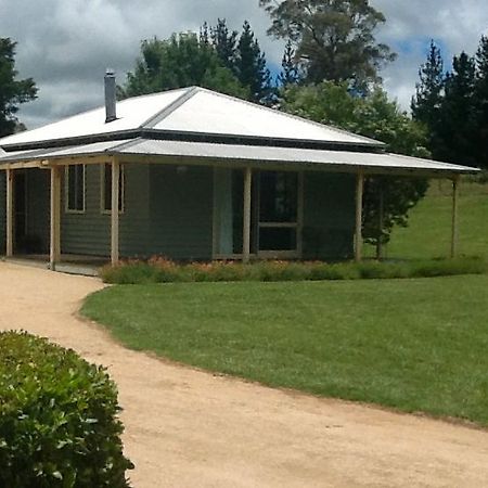Glen Waverly Farmstay Glen Innes Esterno foto