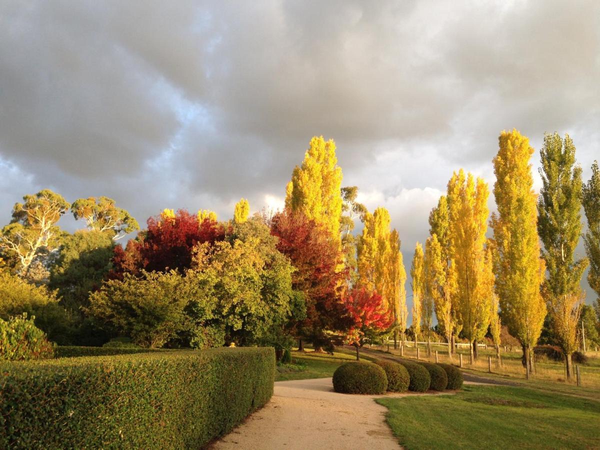 Glen Waverly Farmstay Glen Innes Esterno foto
