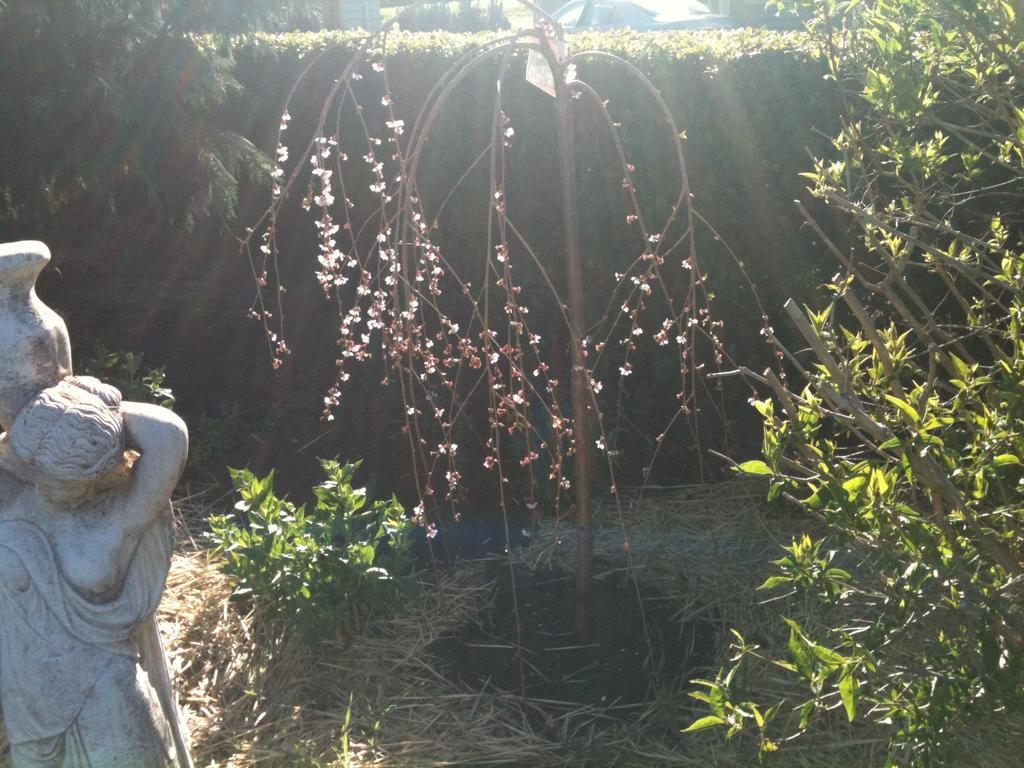 Glen Waverly Farmstay Glen Innes Esterno foto