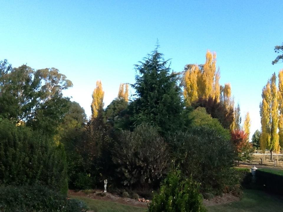 Glen Waverly Farmstay Glen Innes Camera foto