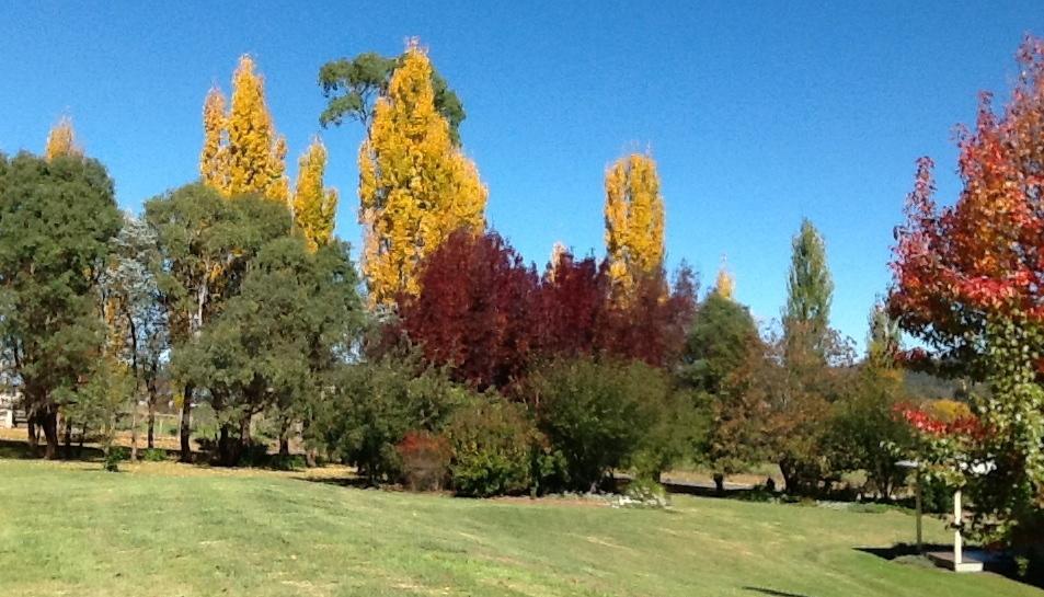 Glen Waverly Farmstay Glen Innes Camera foto