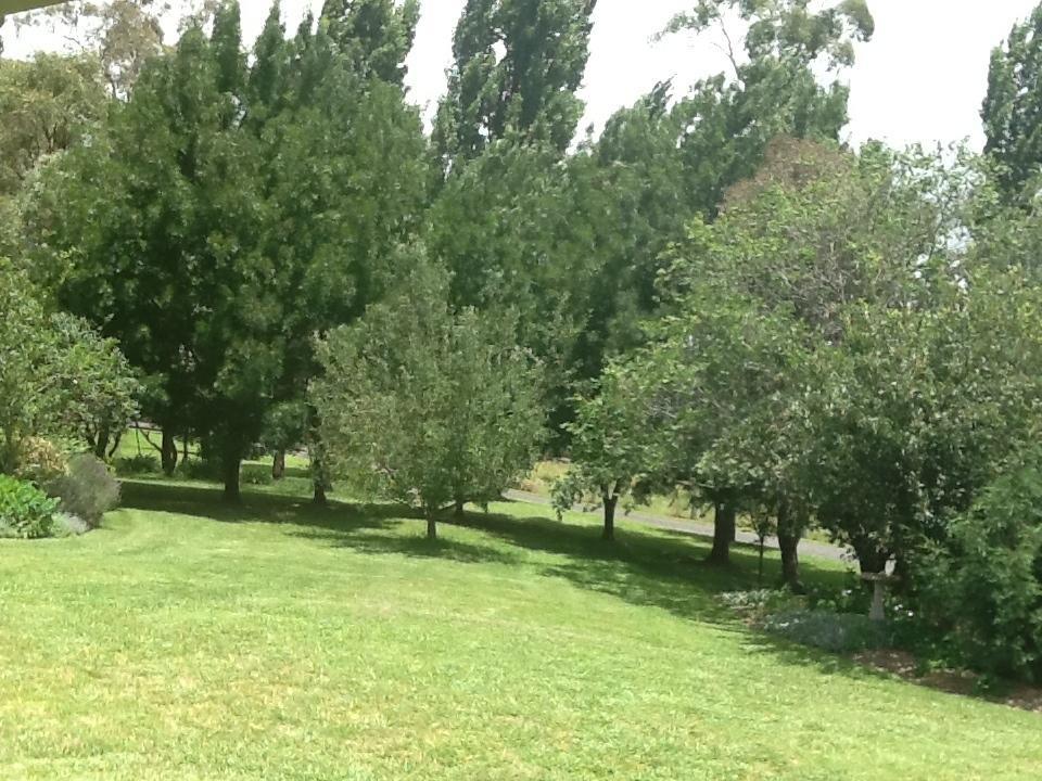 Glen Waverly Farmstay Glen Innes Camera foto