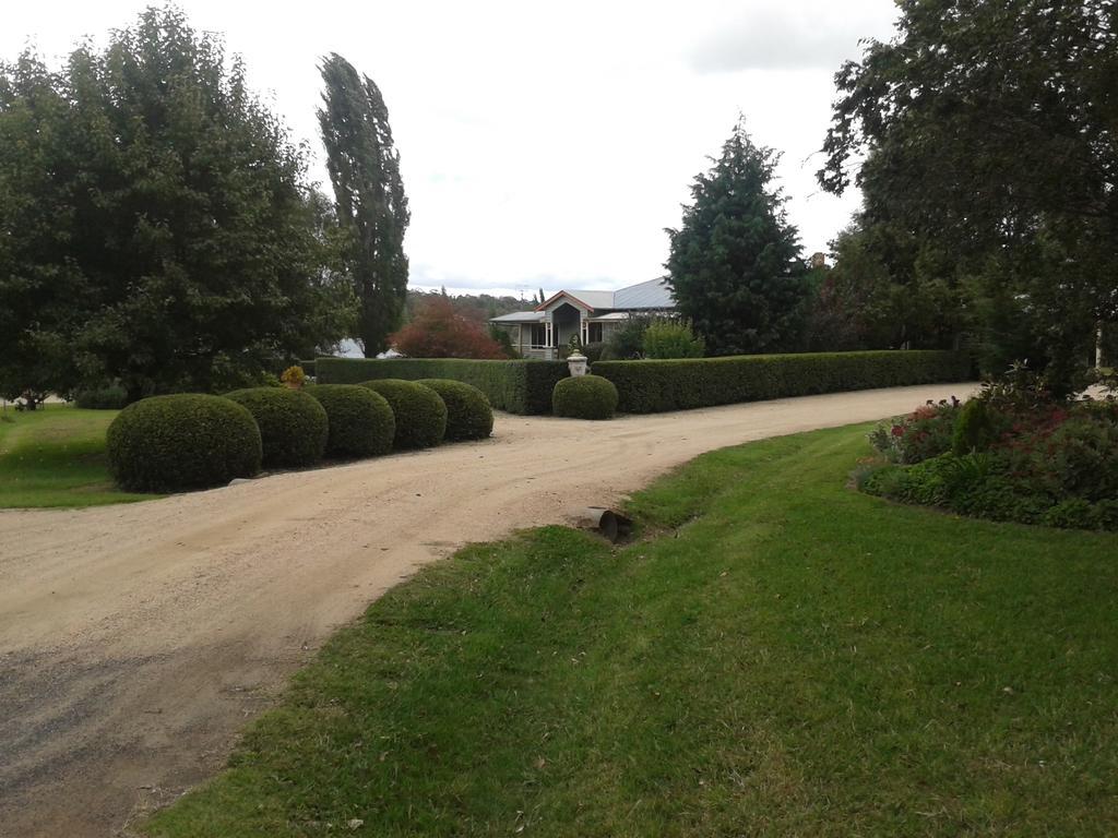 Glen Waverly Farmstay Glen Innes Esterno foto