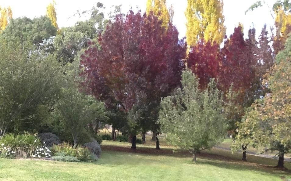 Glen Waverly Farmstay Glen Innes Camera foto