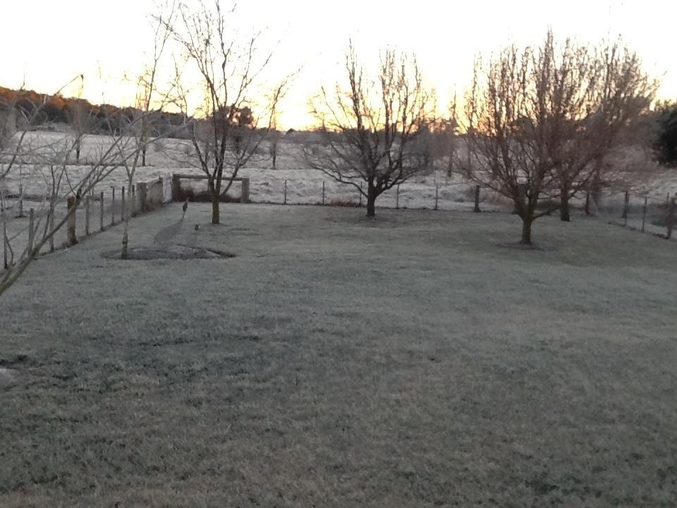 Glen Waverly Farmstay Glen Innes Esterno foto