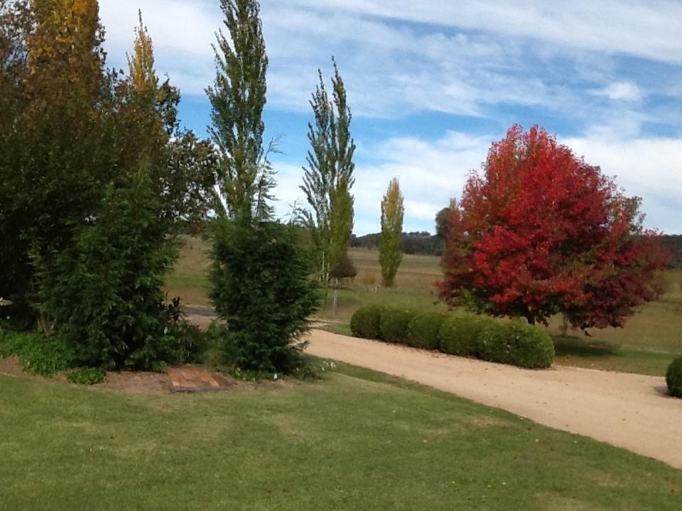 Glen Waverly Farmstay Glen Innes Camera foto