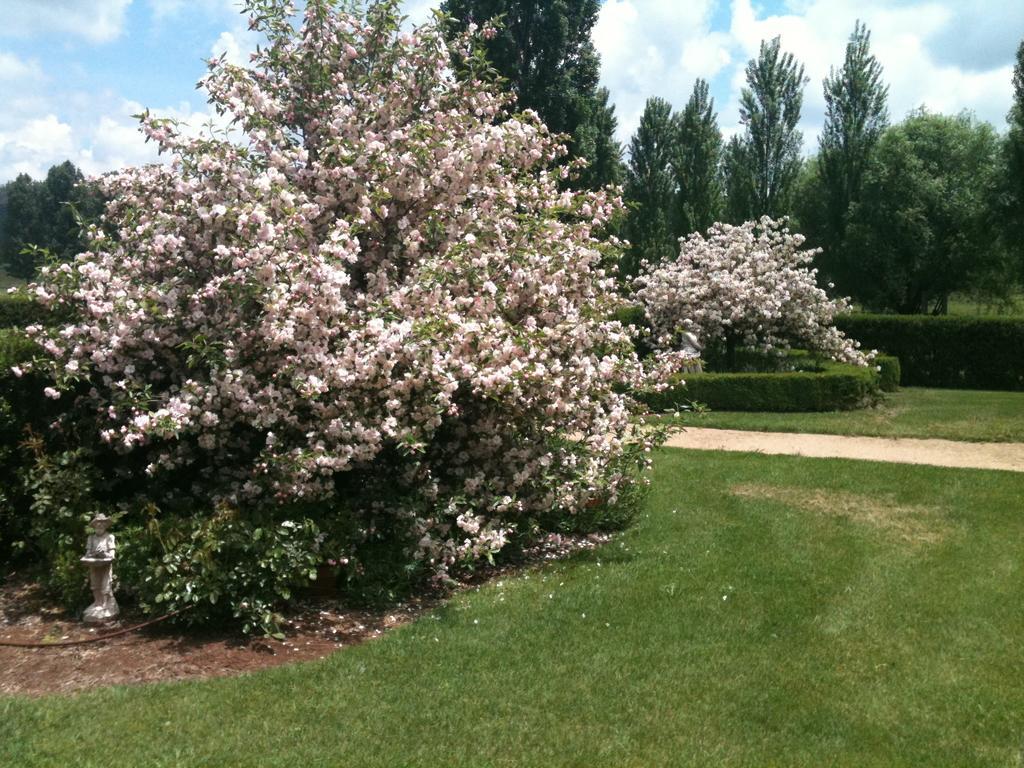 Glen Waverly Farmstay Glen Innes Esterno foto